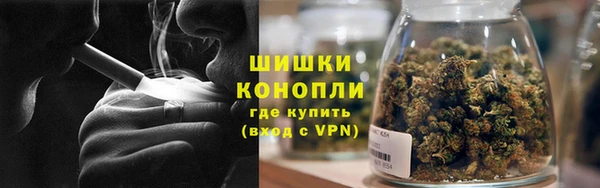 СК Няндома