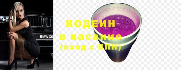 СК Няндома