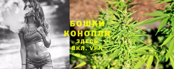 СК Няндома