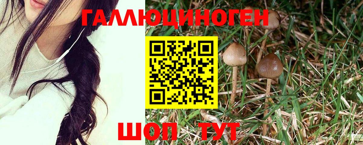 Балахна  Галлюциногенные грибы Psilocybe  Галлюциногенные грибы мицелий  Вход с VPN 