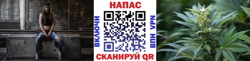 где продают наркотики  Балахна  МАРИХУАНА SATIVA & INDICA 